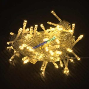 Cordao 100led 10 Metro Bolha Exagonal 8 Funcao Fio Verde