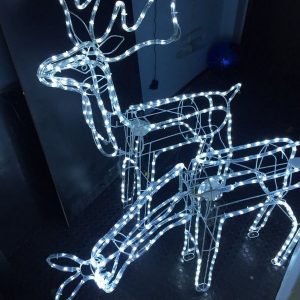 Rena de Natal com Movimento