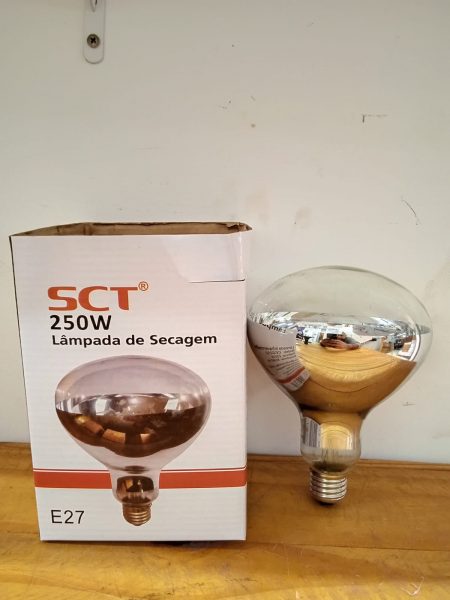 Lampada Secagem 250W 220V Acima 10Pç