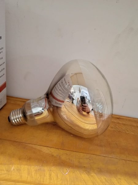 Lampada Secagem 250W 220V Acima 10Pç - Imagem 2
