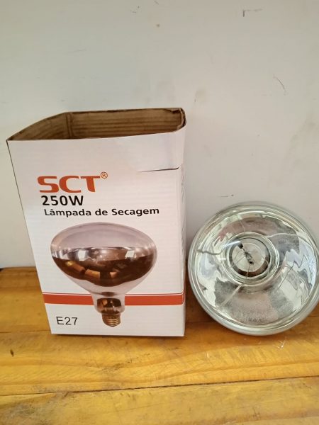 Lampada Secagem 250W 220V Acima 10Pç - Imagem 4